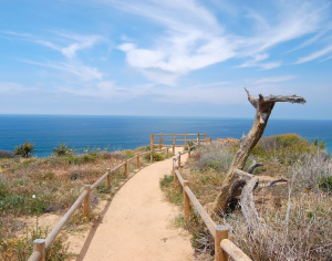 Torrey Pines Nature Reserve